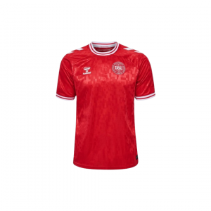 Selección de Dinamarca camiseta Eurocopa 2024