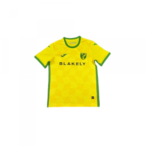 Norwich City camiseta temporada 2024-2025